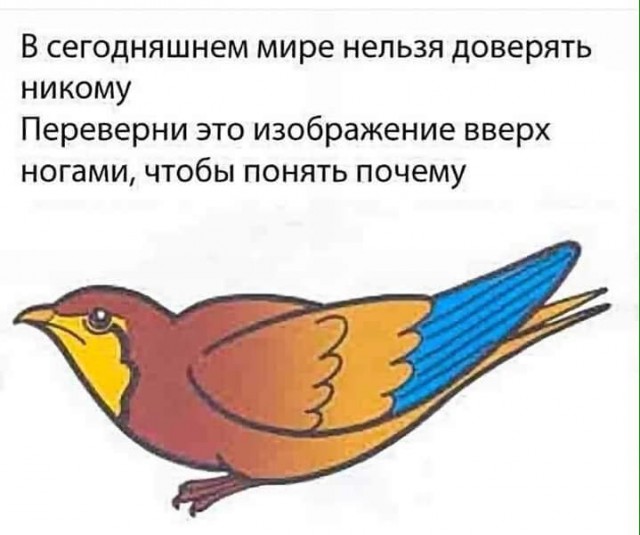 Если вы сразу тупые – это не считается, ребят