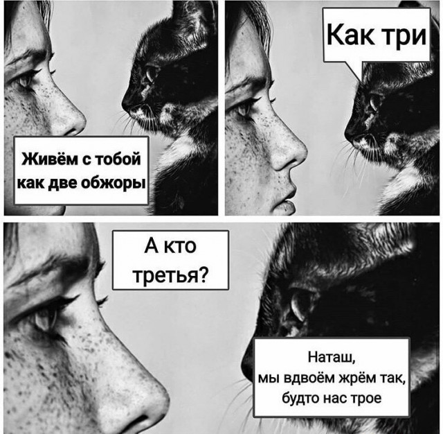 Бредзона