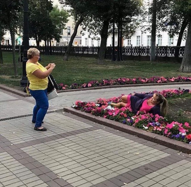 Лента картинок