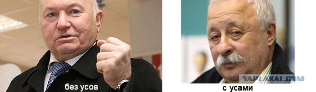 Усы творят чудеса!