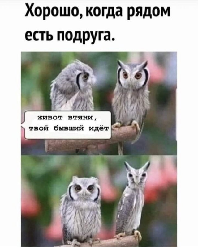 Боянистые картинки 19.12.20
