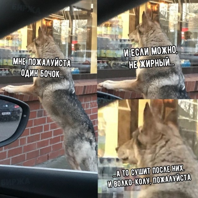Картинки, соцсети, и всякие жизненные фразы
