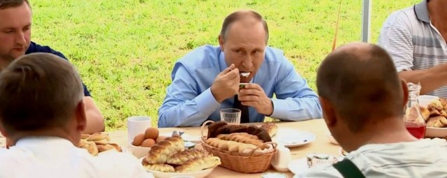 Питон сожрал кота