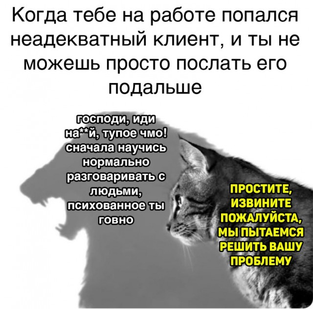 Весёлый полтишок 29.04