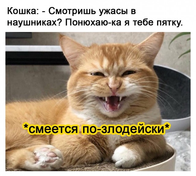 Картинки и мемы для настроения