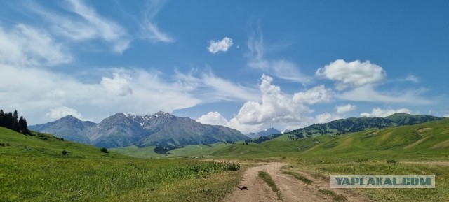 Кулинарная общалка