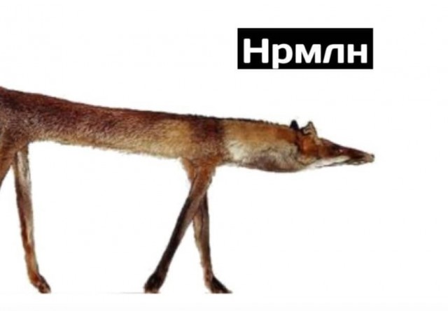 Отнимите у них фотошоп