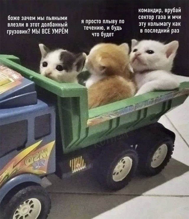 Улыбнись, не грусти!