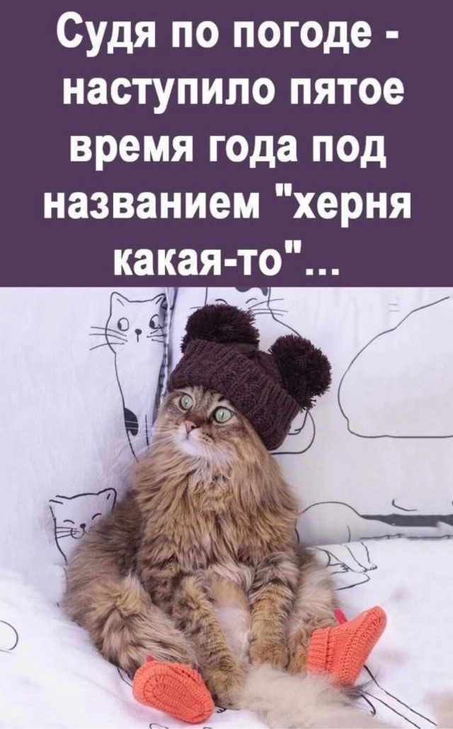 Так себе картинки 28.05.22