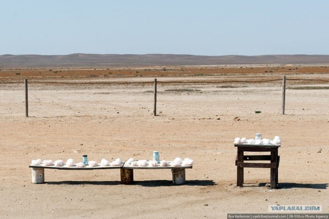 Берег скелетов...