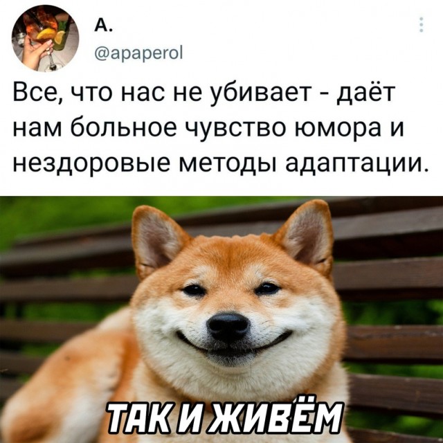 Весёлый полтишок 20.07.2022