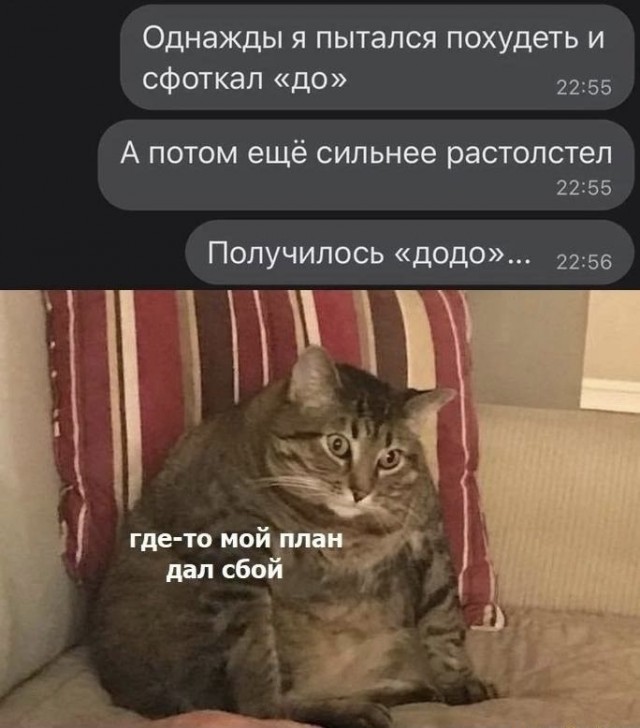 Скриншоты и комментарии из социальных сетей 3.08.22