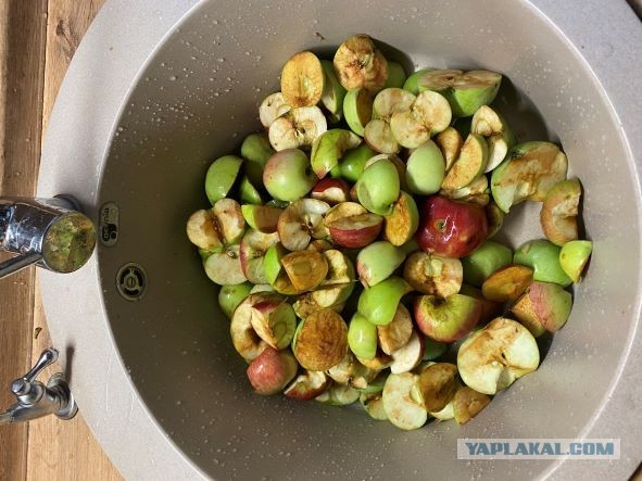 Сидр, от начала до продукта!