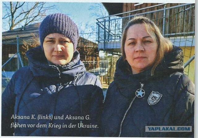 Украинская Германия.