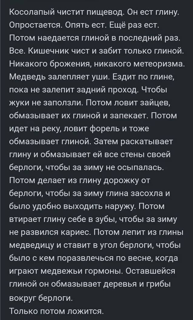 Порядок подготовки косолапого к зимней спячке
