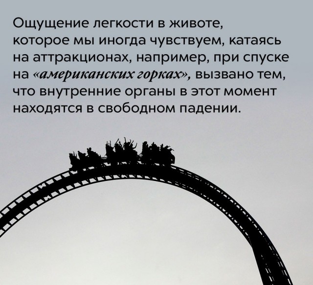 Подборка бесполезных,но интересных фактов.