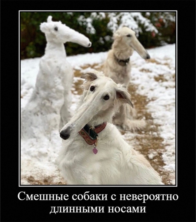 Немного картинок для настроения - 137