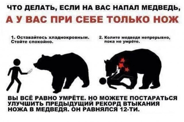 Чё реально  ни разу медведя не выключали?