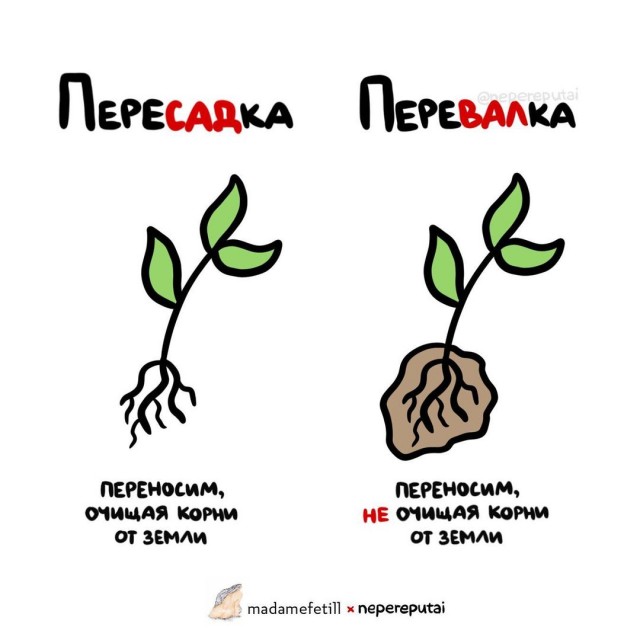 Смотри, Кутузов, не перепутай... vol.3