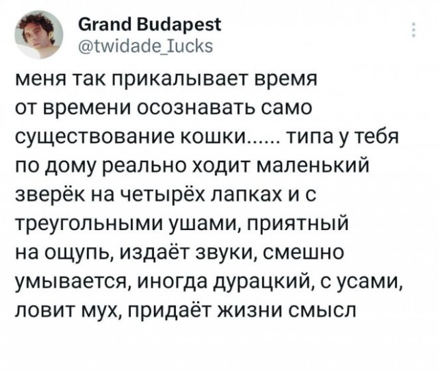 Картинки и мемы, это май-чародей всяко разно - 177