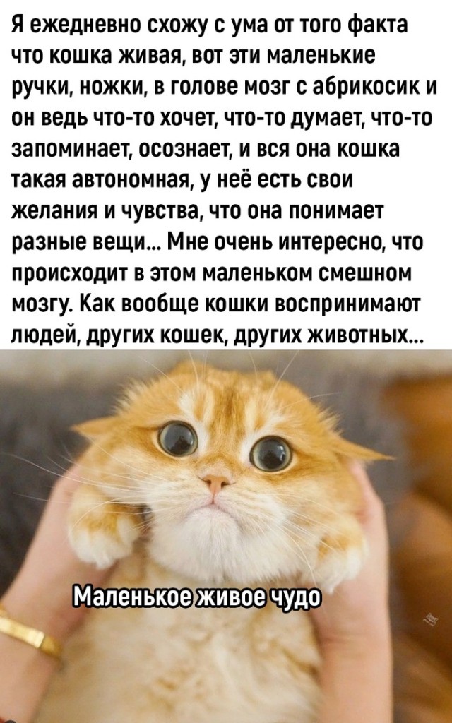 Так себе картинки 20.06.23