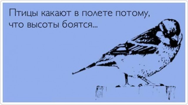 Пилот самолёта посчитал понос у пассажира «биологической угрозой» и совершил экстренную посадку