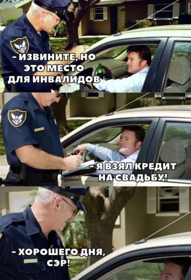 Весёлый полтишок 20.09.23