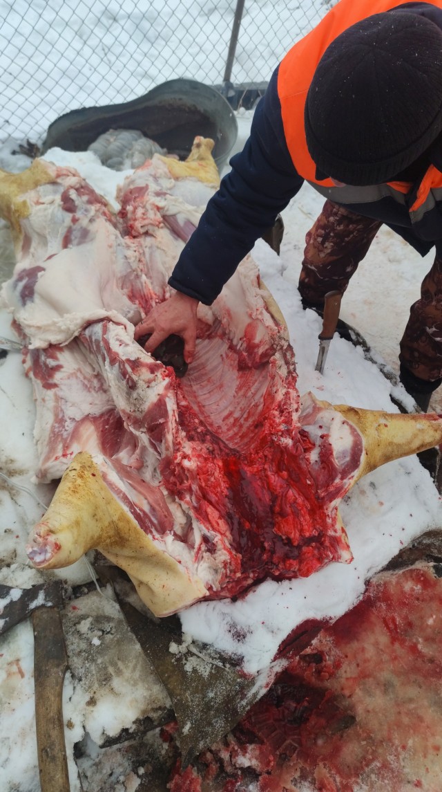 Мясной деликатес
