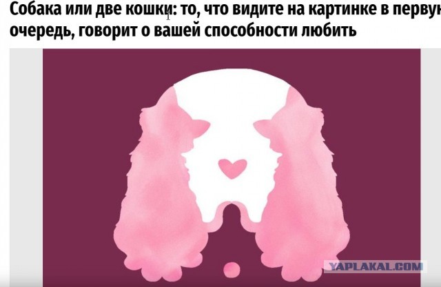 Так себе картинки 17.01.24