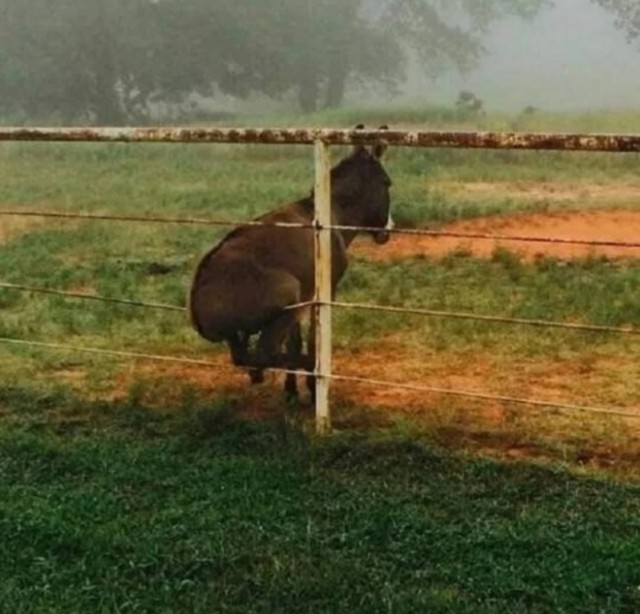 ФотоВинегрет