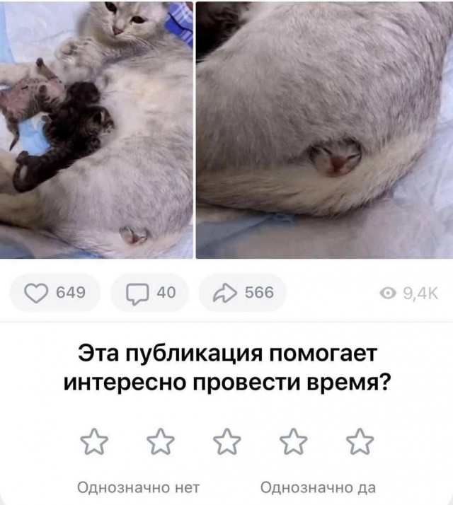Нуштош 13.06.2024