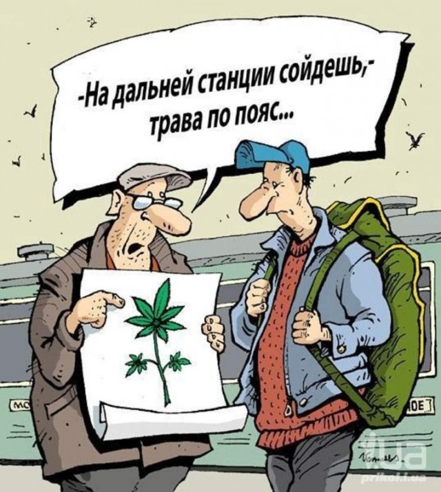 Прикольные и просто красивые картинки 23.08.2024