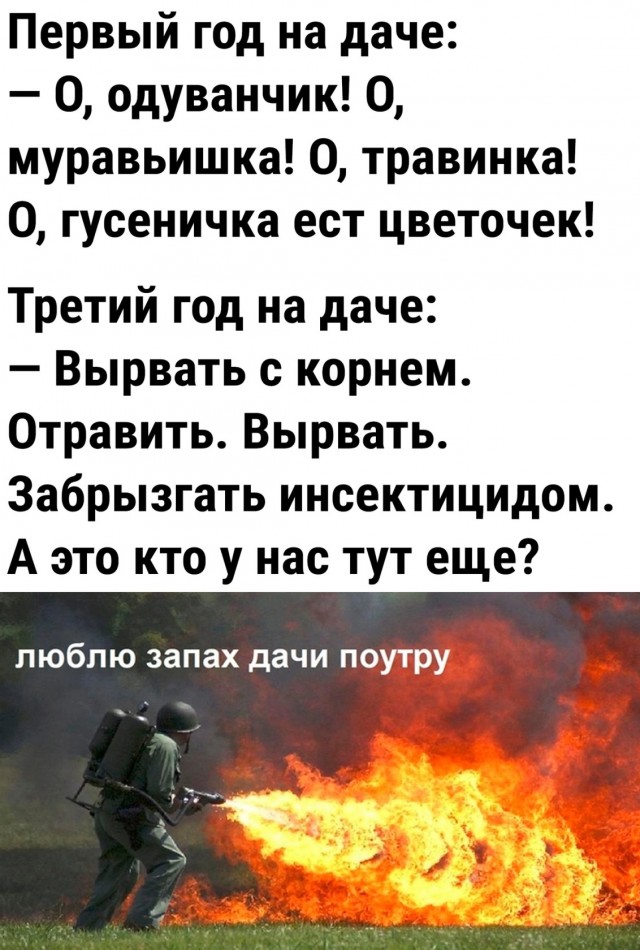 Юмор в картинках и без