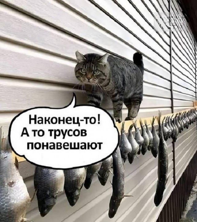 Быстрая деградация. Номер 7
