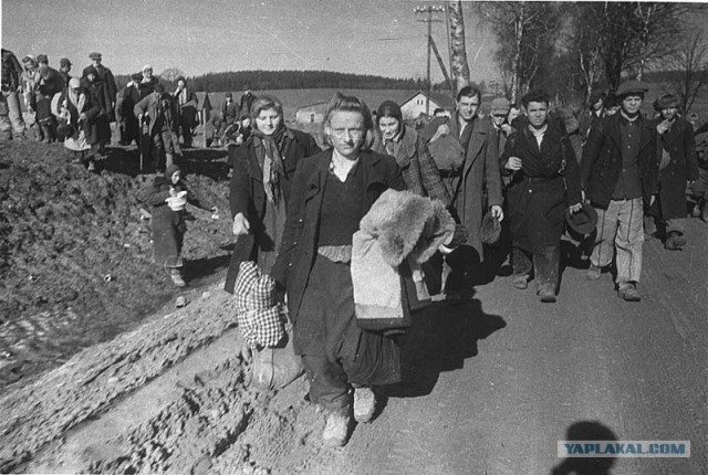 Дорогами войны ... (текст + 100 фото)