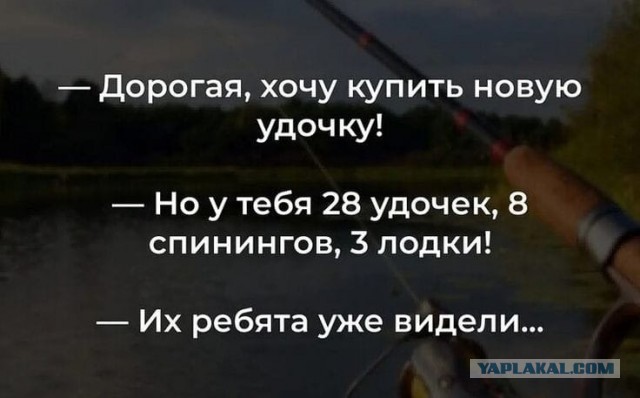 Забавные картинки, шутки из этих ваших интернетов