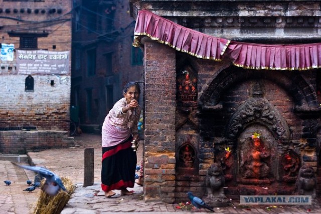 Фотографии от Mitchell Kanashkevich