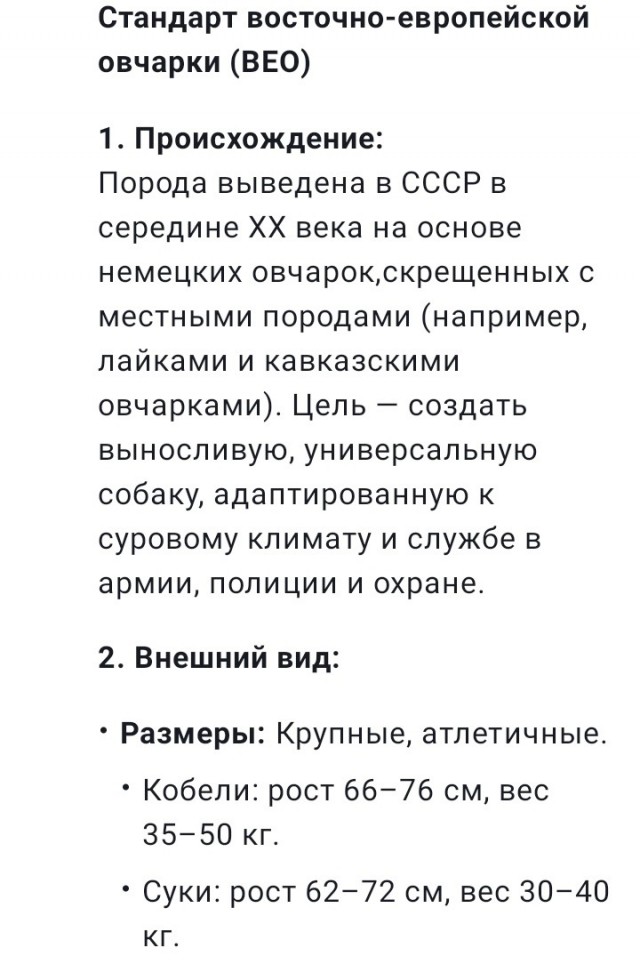 Восточноевропейская овчарка