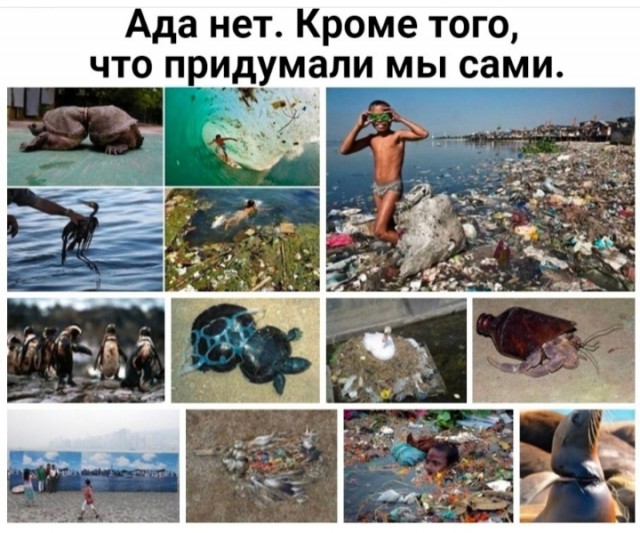 Так себе картинки 27.03.25