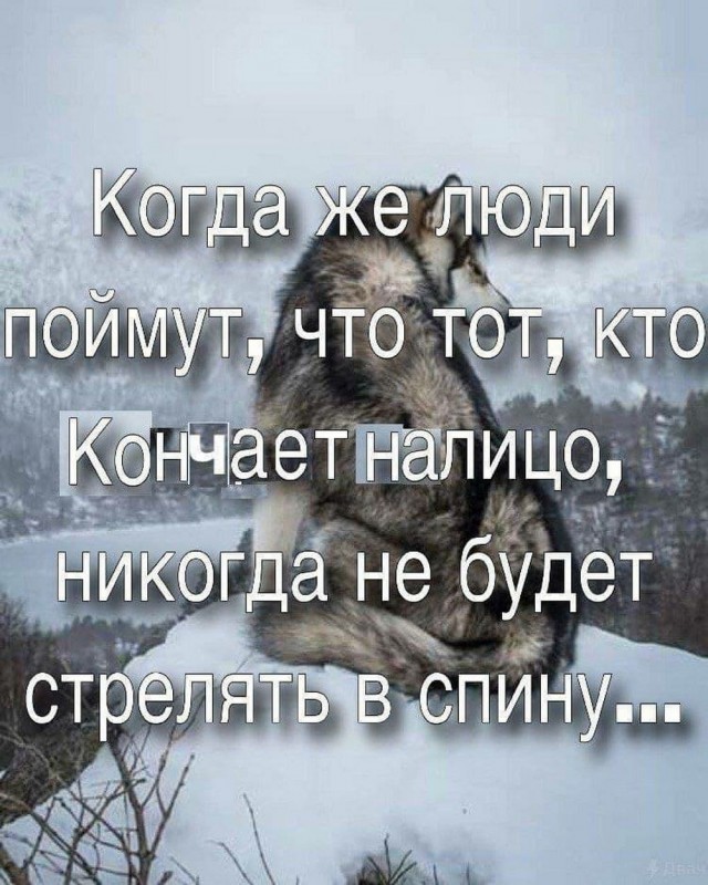 Так себе картинки   "Финал"