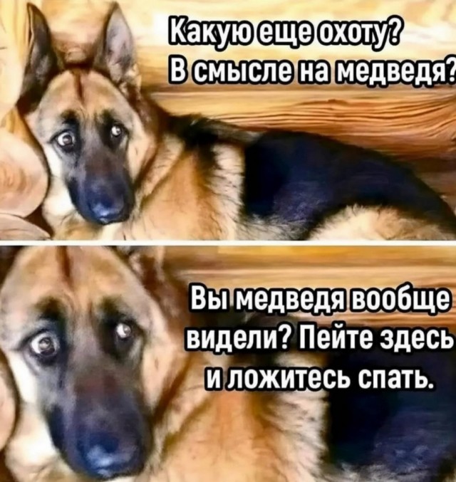 Завалялось тут случайно немного забавных картинок