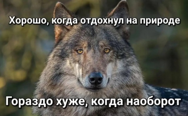 Завалялось тут случайно немного забавных картинок