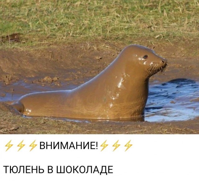 Веселое настроение в картинках (14.07.2025)