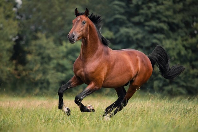 Новый городской электромобиль за 400 тыс рублей.
