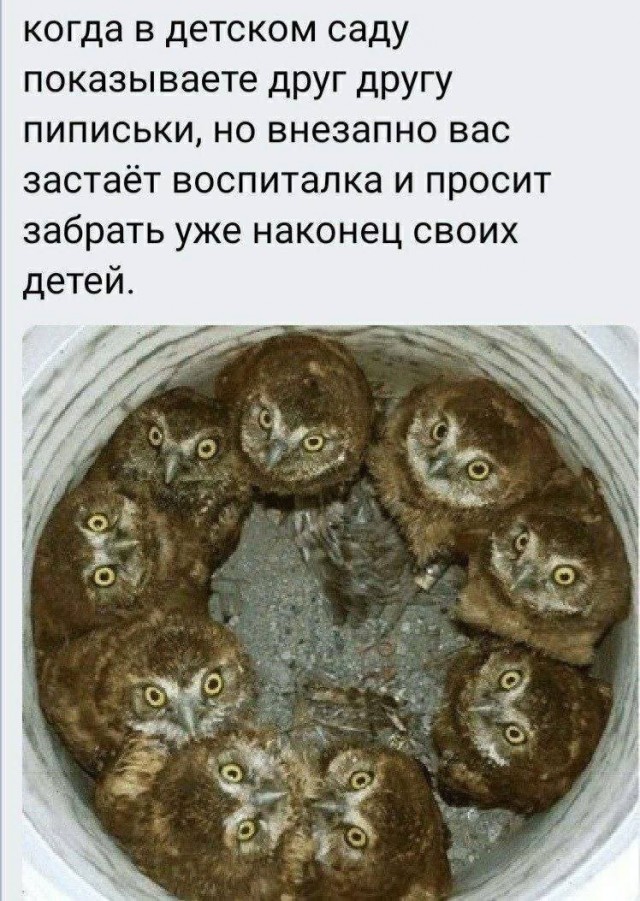 Картинки для деградации 81 (разной степени свежести)