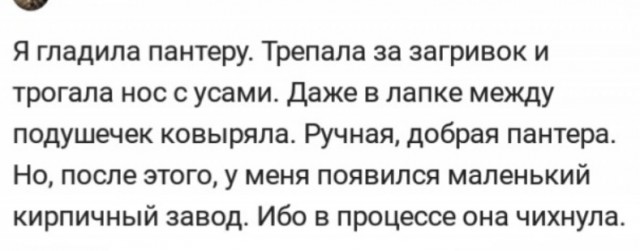 Вечер воскресенья