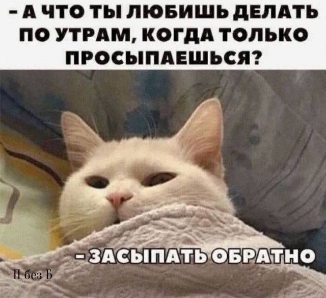 Картинки для деградации 96 (разной степени свежести)