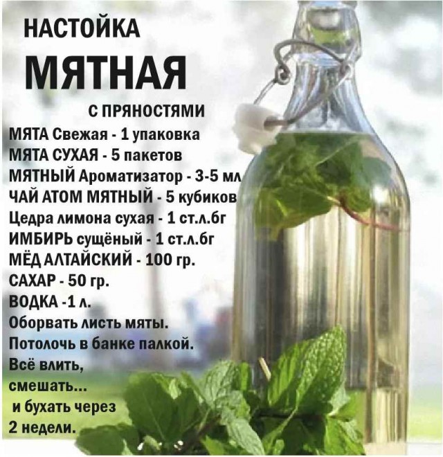 Мои домашние настойки или «Это всё на Новый год!»