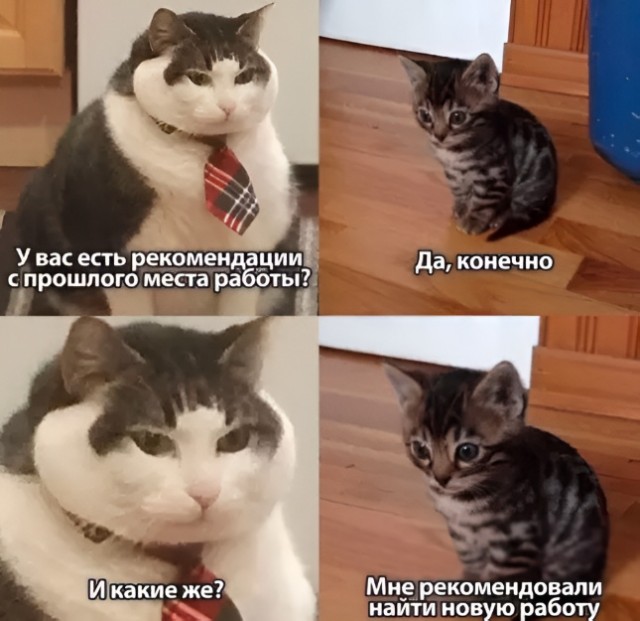 Картиночки, баянчики 25 декабря