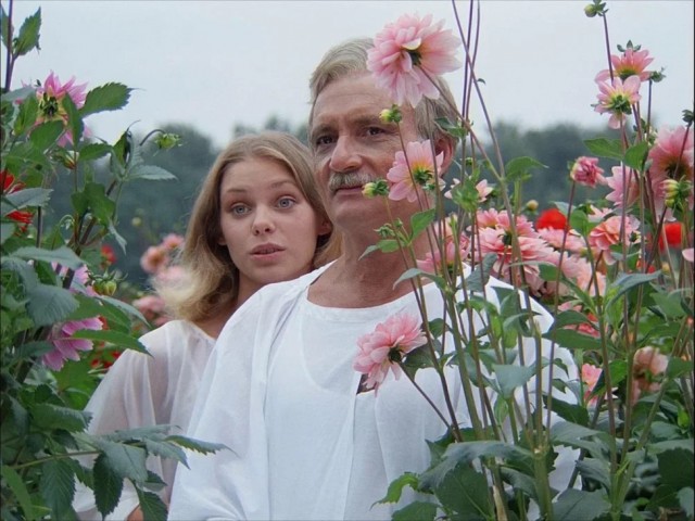 Как один человек за 36 лет превратил пустыню в лес